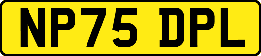 NP75DPL