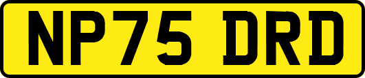 NP75DRD