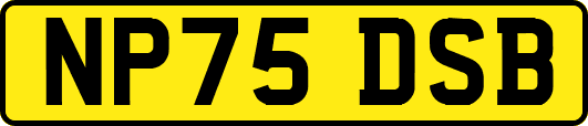 NP75DSB