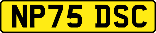 NP75DSC