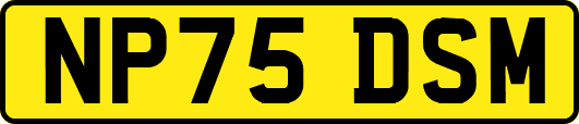 NP75DSM