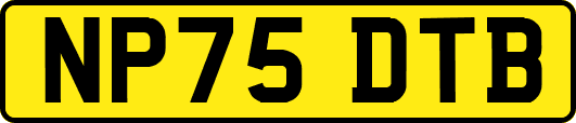 NP75DTB