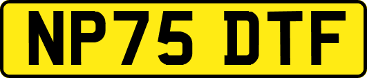 NP75DTF