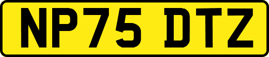 NP75DTZ