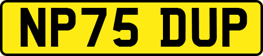 NP75DUP