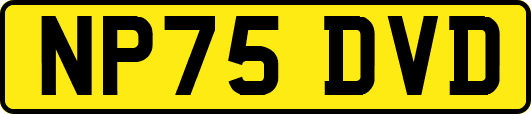 NP75DVD
