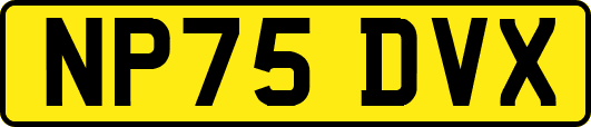 NP75DVX