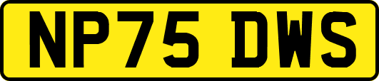 NP75DWS