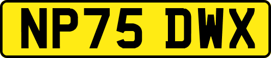 NP75DWX