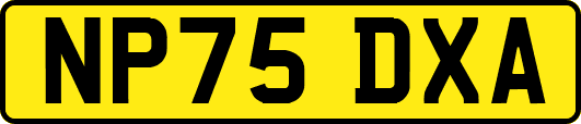 NP75DXA