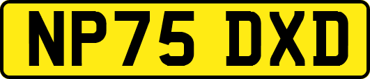 NP75DXD