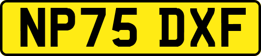 NP75DXF
