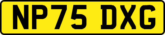 NP75DXG