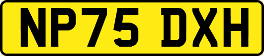 NP75DXH