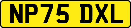 NP75DXL