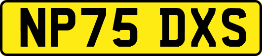 NP75DXS