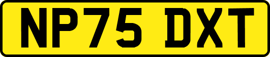 NP75DXT