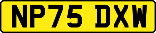 NP75DXW