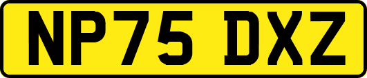 NP75DXZ