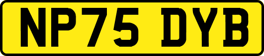NP75DYB