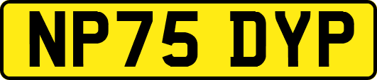 NP75DYP