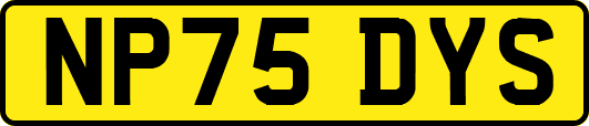 NP75DYS