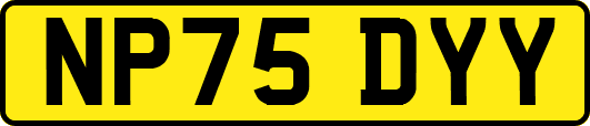 NP75DYY