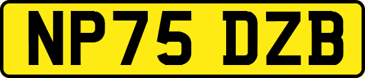 NP75DZB