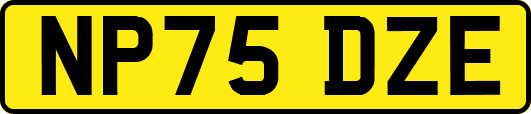 NP75DZE