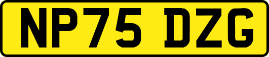 NP75DZG