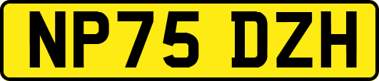 NP75DZH