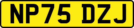 NP75DZJ