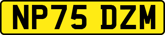 NP75DZM