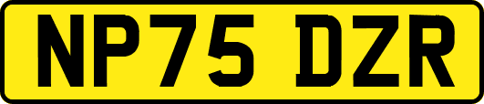 NP75DZR