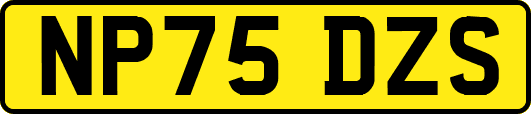 NP75DZS