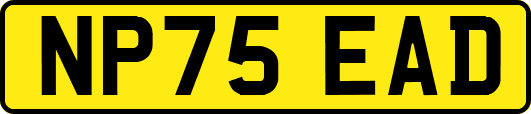 NP75EAD