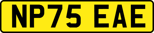 NP75EAE