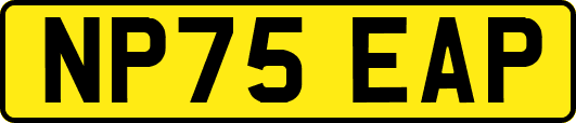 NP75EAP