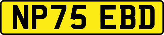 NP75EBD