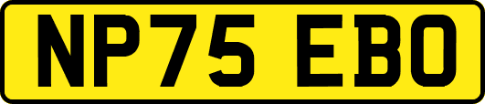 NP75EBO