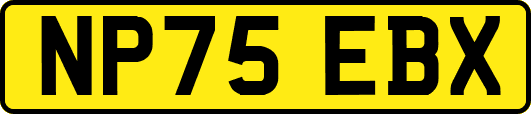 NP75EBX