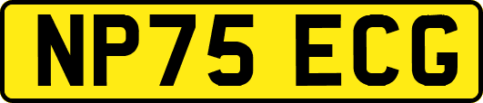NP75ECG