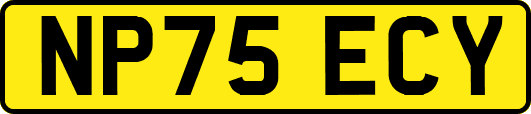 NP75ECY