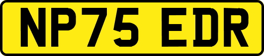NP75EDR