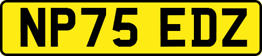 NP75EDZ