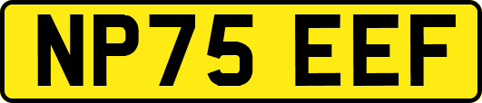 NP75EEF