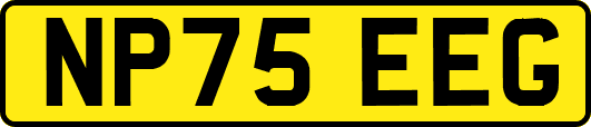 NP75EEG
