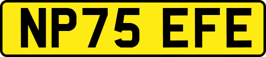 NP75EFE