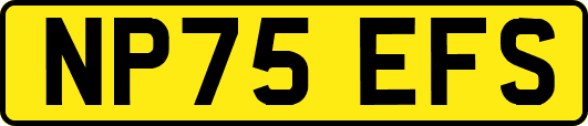 NP75EFS