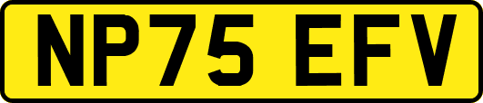 NP75EFV